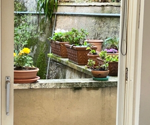 Apartment Il Porticciolo